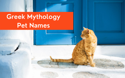173 Truly Epic Greek Mythology Names for Pets