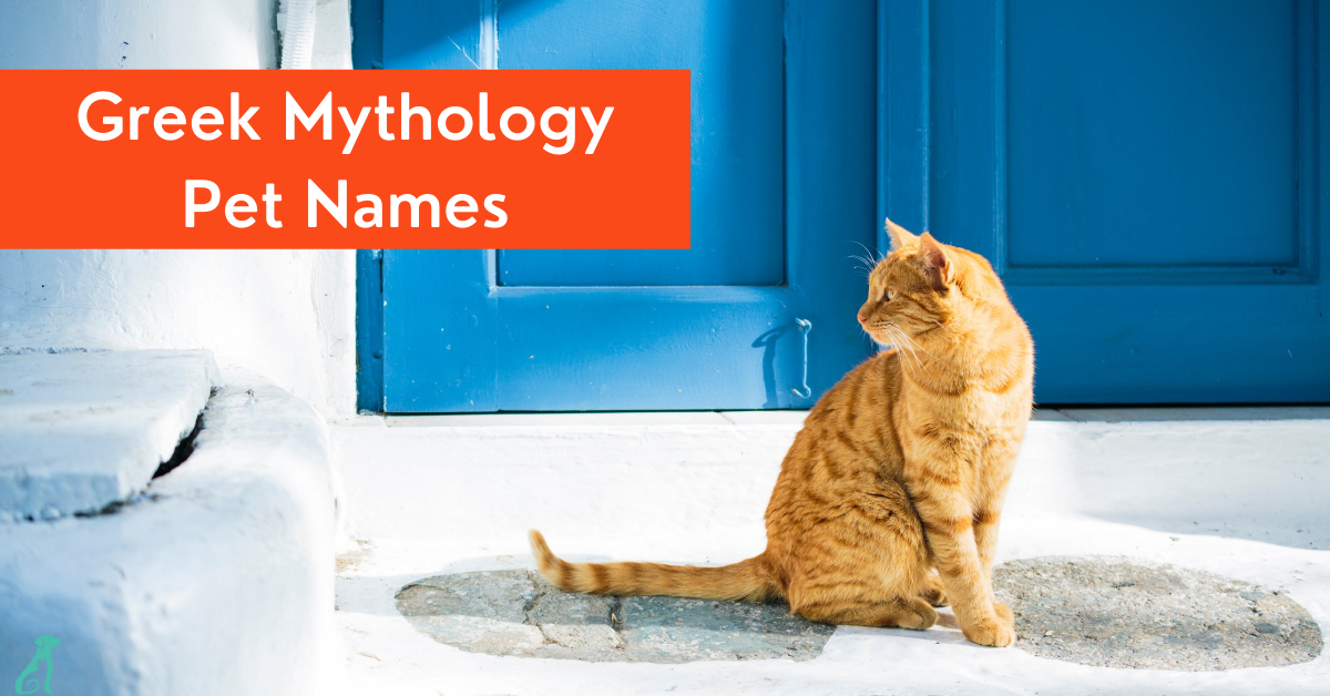173 Greek Mythology Names for Your Truly Epic New Pet