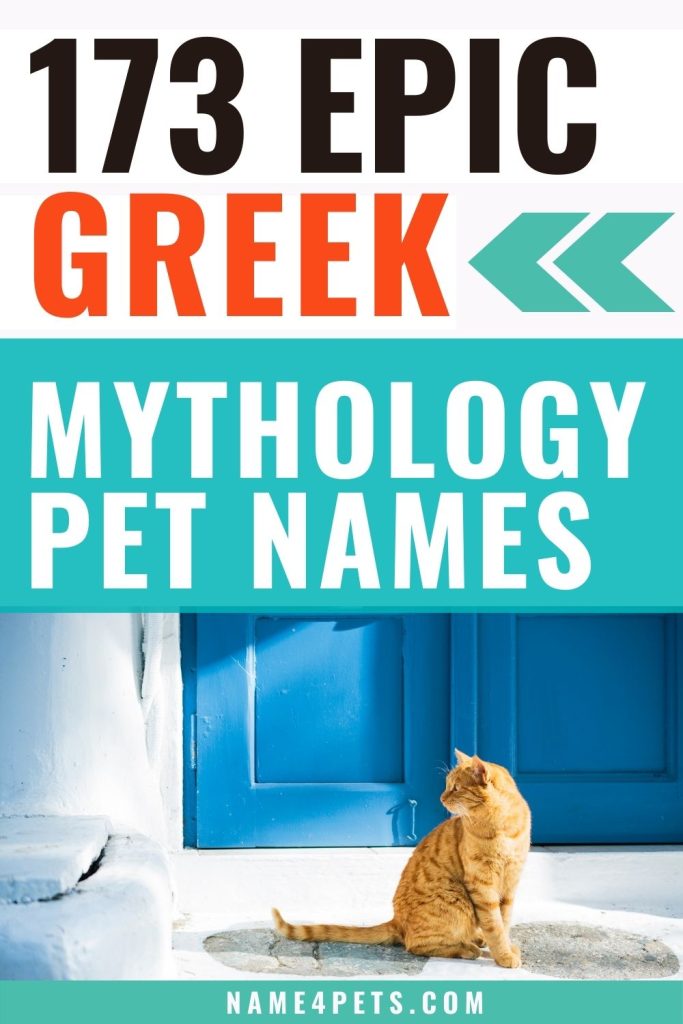 From gods and goddesses to epic heroes to incredible creatures, there are so many awesome ideas for Greek mythology names for pets! Check out my favorites!