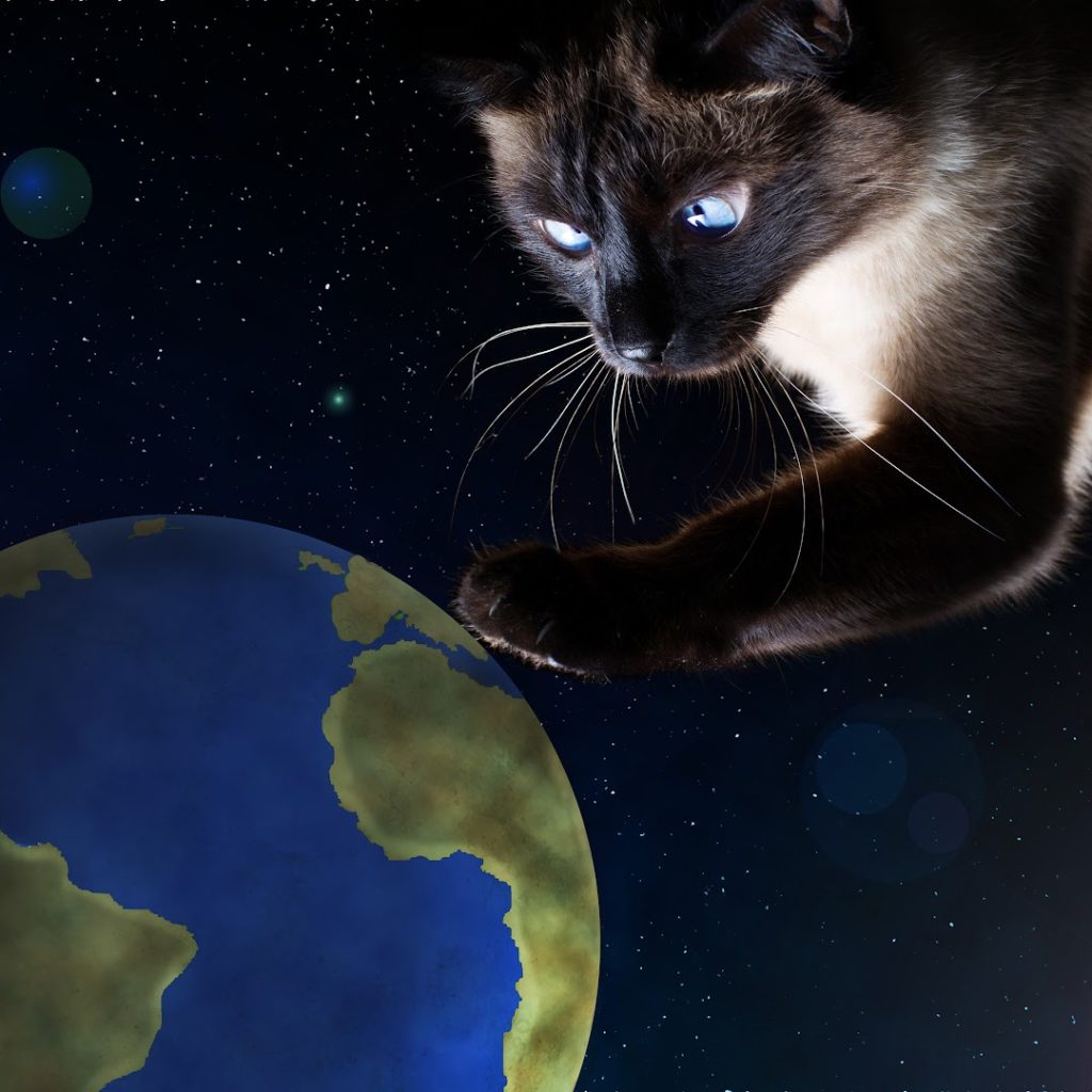 siamese cat batting at planet earth [space names for cats]