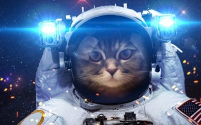 323 Space Names for Cats, Dogs & Other Pets