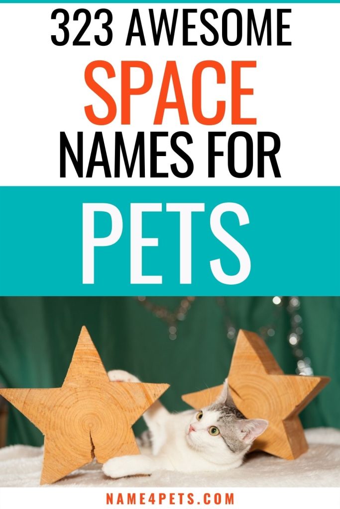 These cute space names for cats, dog or other pets are inspired by stars, planets and astronauts. With over 300 ideas, you'll have no problem finding the right one!