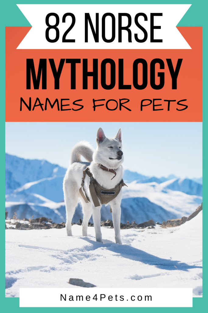 With a dog named Freya, it's clear that I love using Norse mythology names for my pets. Check out 82 of my favorites inspired Norse deities, creatures, & more!